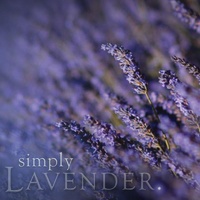Australian Made - Lavender Scented Soy Candle
