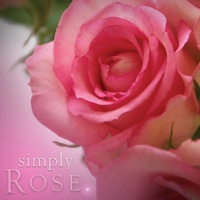 Rose natural soy jar candle - 100% Australian Made