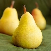 FRENCH PEAR FRAGRANCE OIL
