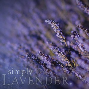 Lavender reed diffuser refill