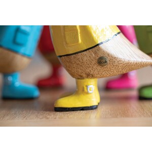 Duckling Raincoat (5Asst) - Sold by individual duck