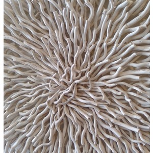 Cream branches wall art - CLICK & COLLECT ONLY
