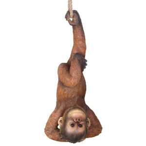 50cm Realistic Hanging Orangutan - CLICK & COLLECT ONLY