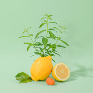 Fresh Verbena Liquid Marseille Soap 500ml