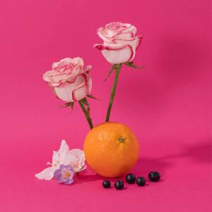 Wild Rose Liquid Marseille Soap 500ml