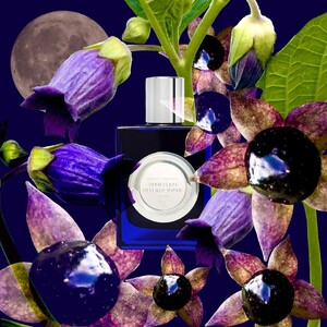 Venetian Belladonna - 50mL Full Size Bottle Fragrance