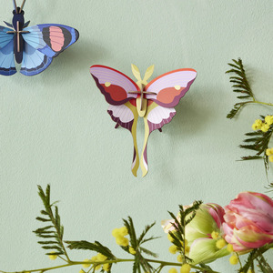 Studio  Roof:  Wall  Art  Butterflies  (B7)  -  Lilac Comet Butterfly