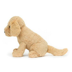 Dog Golden Retriever - Tilly