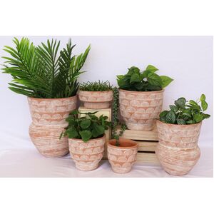 Medium Nia Terracotta Rainbow Planter