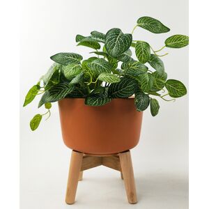 Ainsley Planter with Legs Peach Med 23cm 