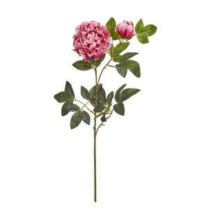 Peony Spray 30x20x80cm Beauty