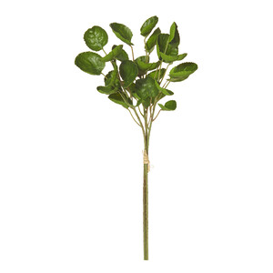 Aralia Pick Bunch x3 38cm Green