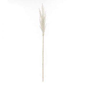 Pampas Grass Spray 8x8x85cm Off White