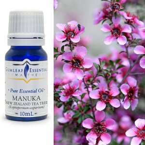 MANUKA ESSENTIAL OIL