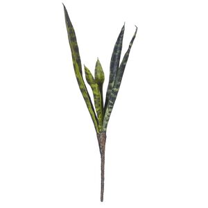 Sanseveria Pick 13x46cm Gn