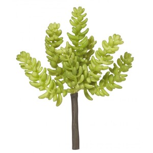 Sedum Sandflower 10x10x17cm Gre