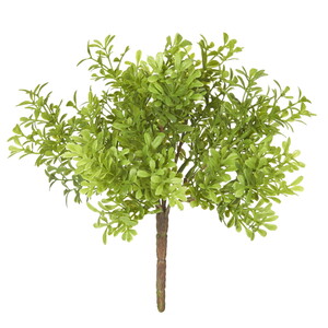 Boxwood Bush 18x18x25cm Gre