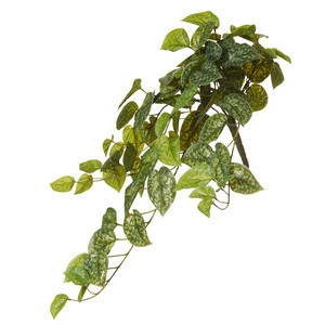 Aluminium Hanging Bush 65cm Gn