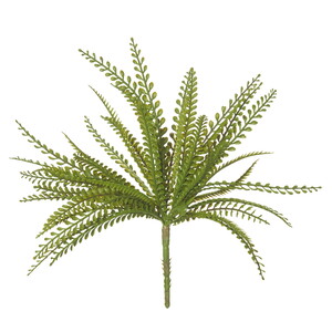 Baby Jewel Fern 38x38x33cm Green