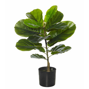 Giant Fiddle Plant 55cm (Artificial)