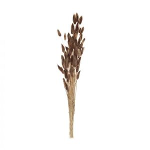 Preserved BunnyTails 18x6x50cm Rust