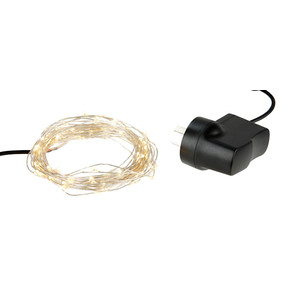 String Light LED 100 Bulbs AC 10m SV