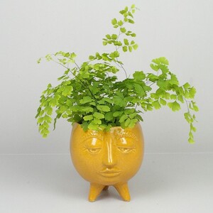 Cora pot orange 13cm