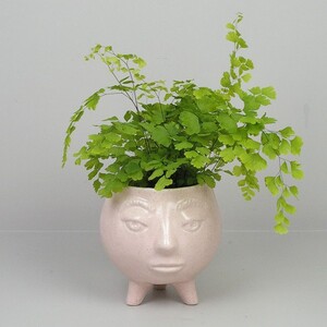Demi pot pink 13cm