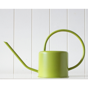 Watering Can - Croy - Olive Green - 35x14x18 - BULK ITEM