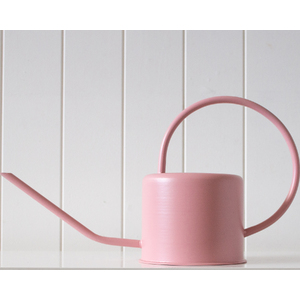 Watering Can - Croy - Blush - 35x14x18 - BULK ITEM