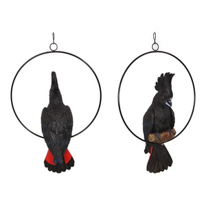 43CM BLACK COCKATOO IN 30CM RING