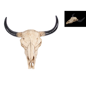 30cm cow skull wall hanger