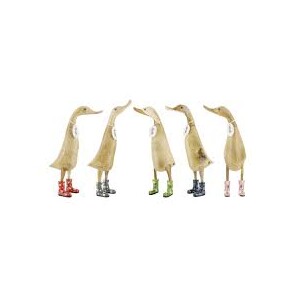 Natural Welly Ducklet Flowers (5Asst) - Sold by individual duck