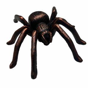 WOLF SPIDER