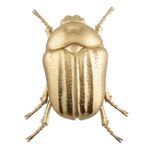 Gold Flik Beetle