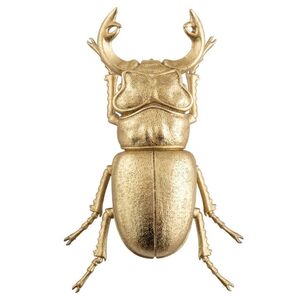 Gold Leaf Beetle 