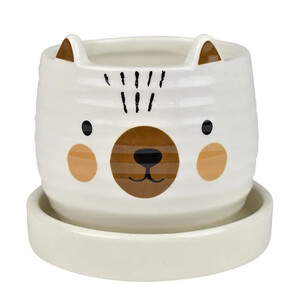 Blake Bear Pot W Saucer 9x7.5cm Multi
