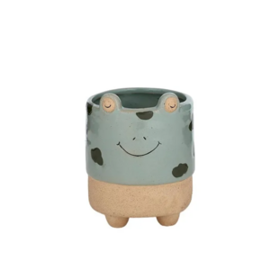 Kermit Frog Ceramic Pot 11x13cm Green