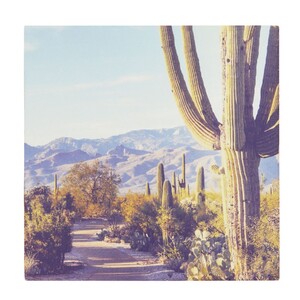 Palm Springs Coaster 10x10 Mul