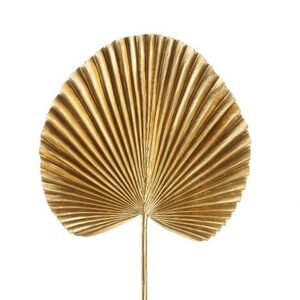 Gold Fan Palm Leaf