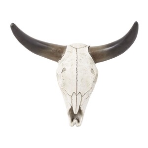 Bolton Steer WDecor 26.5cm