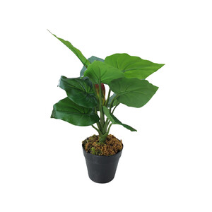 Faux Tropicana Plant