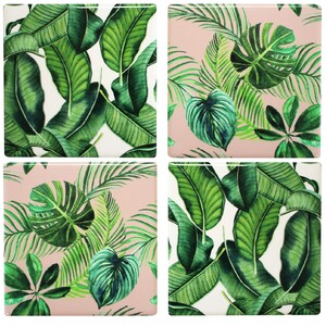Coasters Rainforest