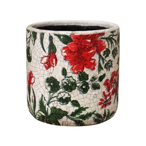 Pot Straight Carnation