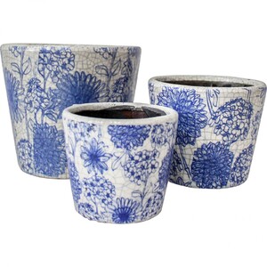 Large Pot Blue Flower