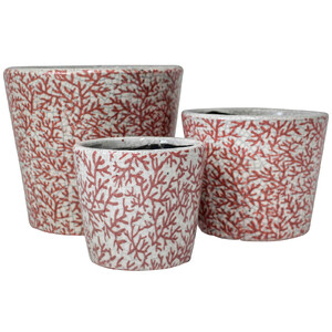 Large Pot Branching Coral