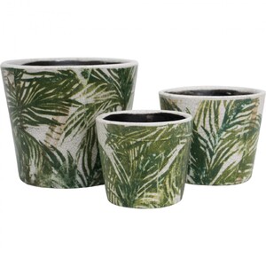 Large Pot Palms