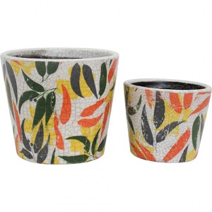 Small Eucalyptus Pot