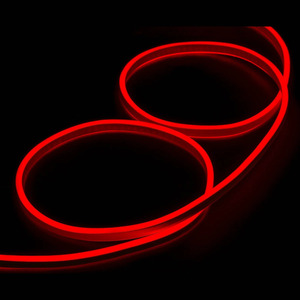 10M Neon Light - 7 Colour Options - Red