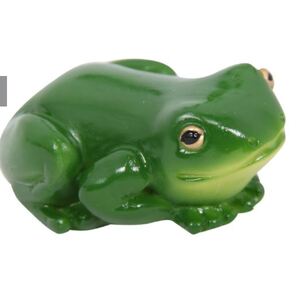 Rainforest Lucky Frog Magnet